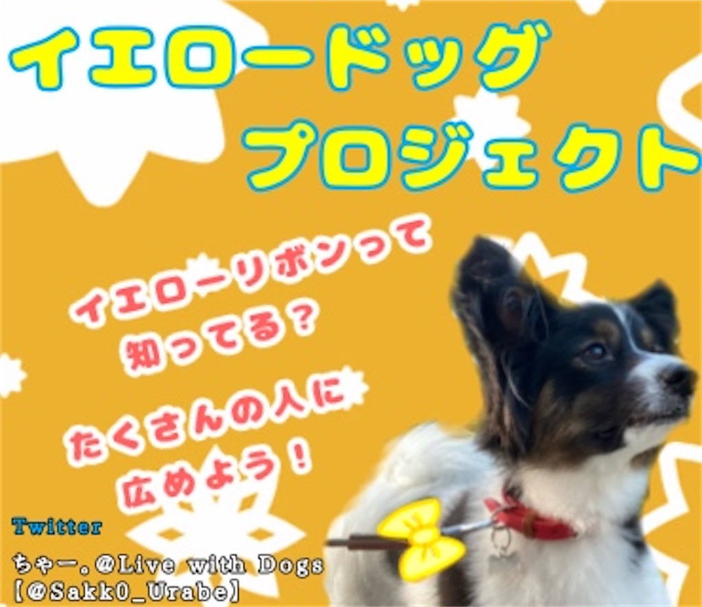 f:id:chasanx0424:20210706110006j:image