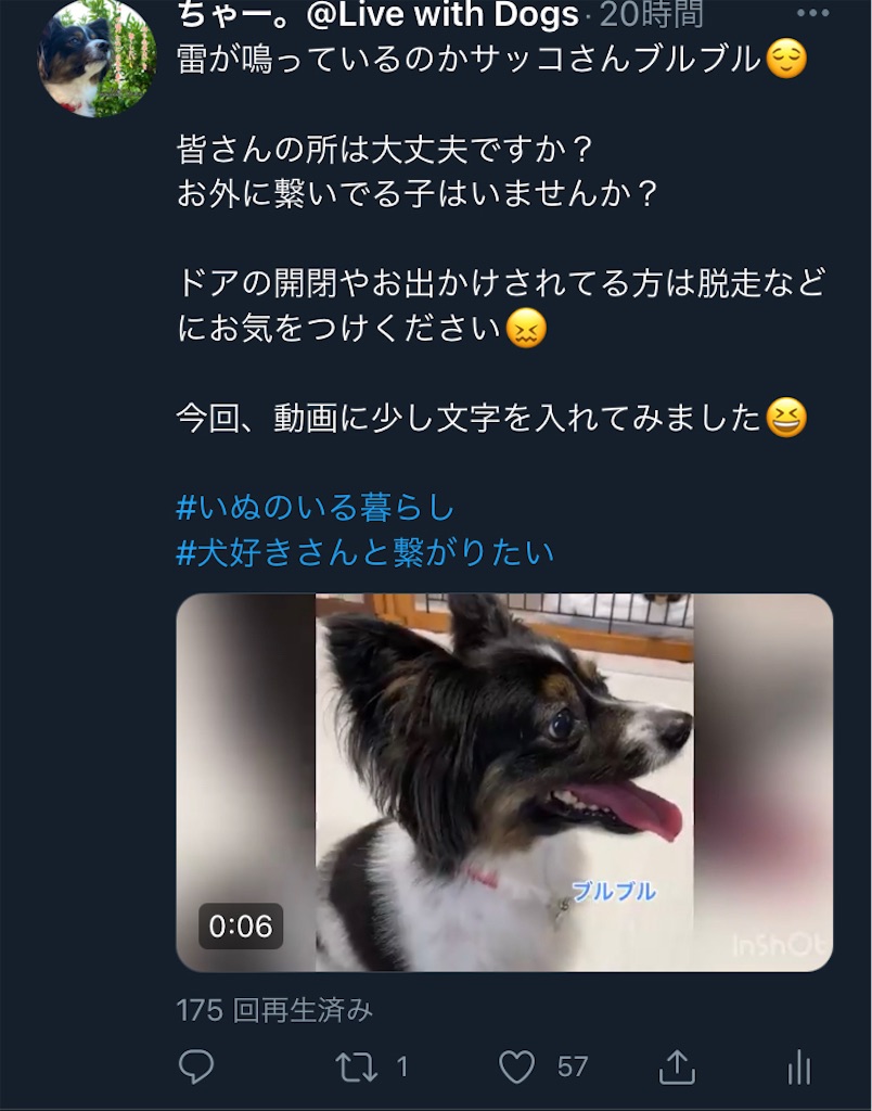 f:id:chasanx0424:20210713092635j:image