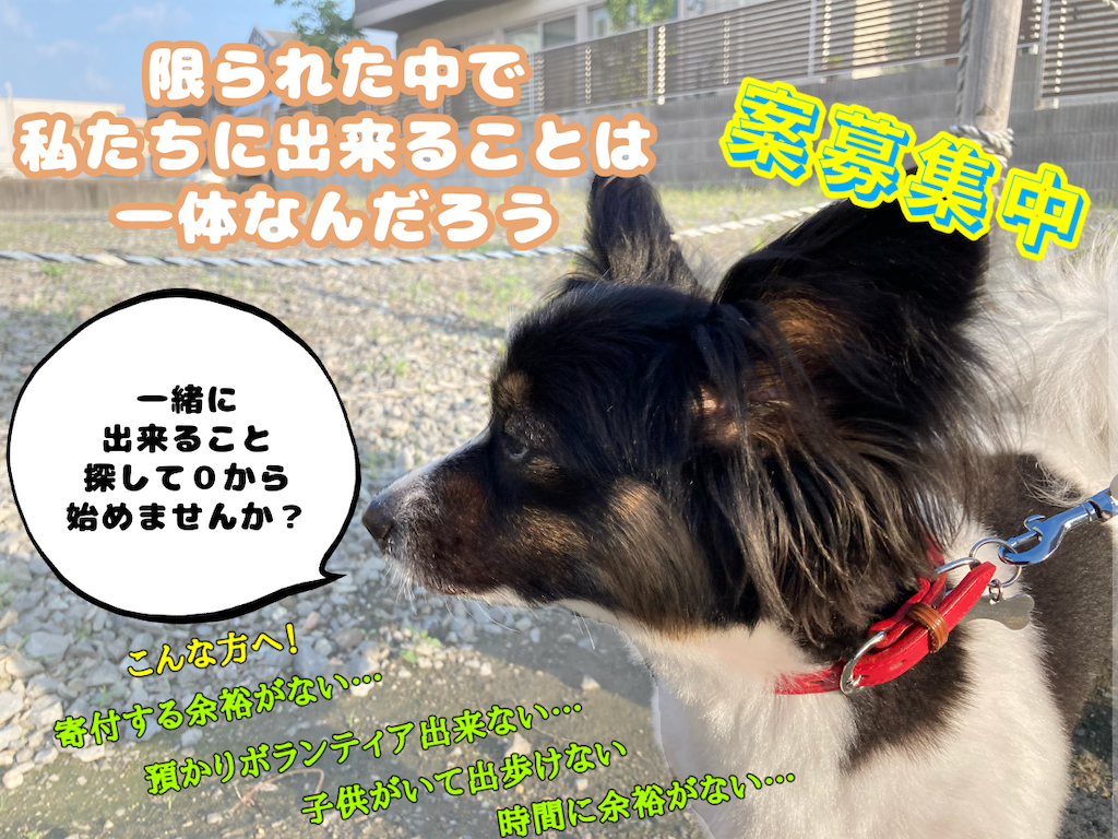 f:id:chasanx0424:20210713100119p:image