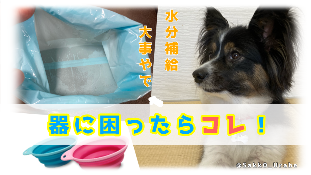 f:id:chasanx0424:20210720162426p:image