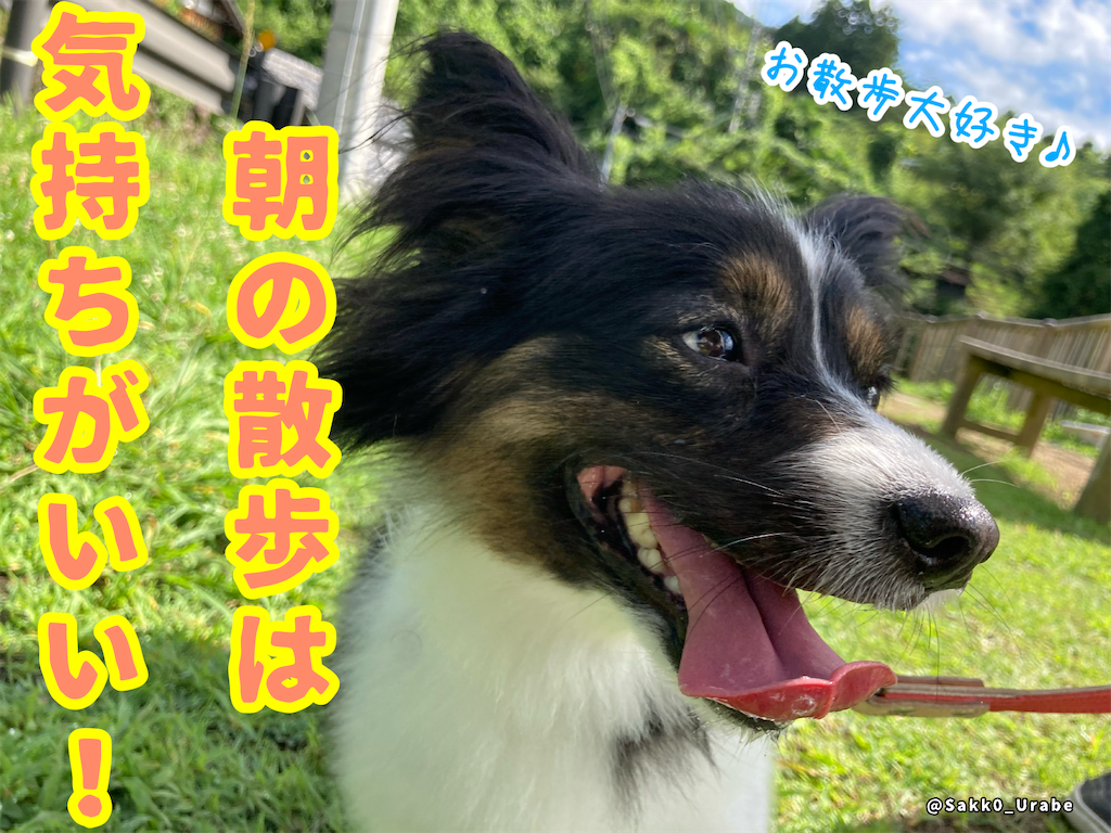 f:id:chasanx0424:20210727104203p:image