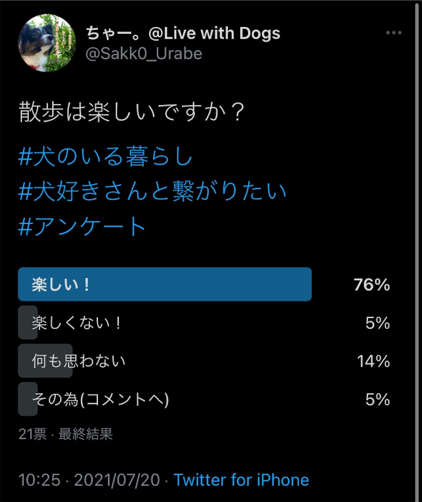 f:id:chasanx0424:20210727104731j:image