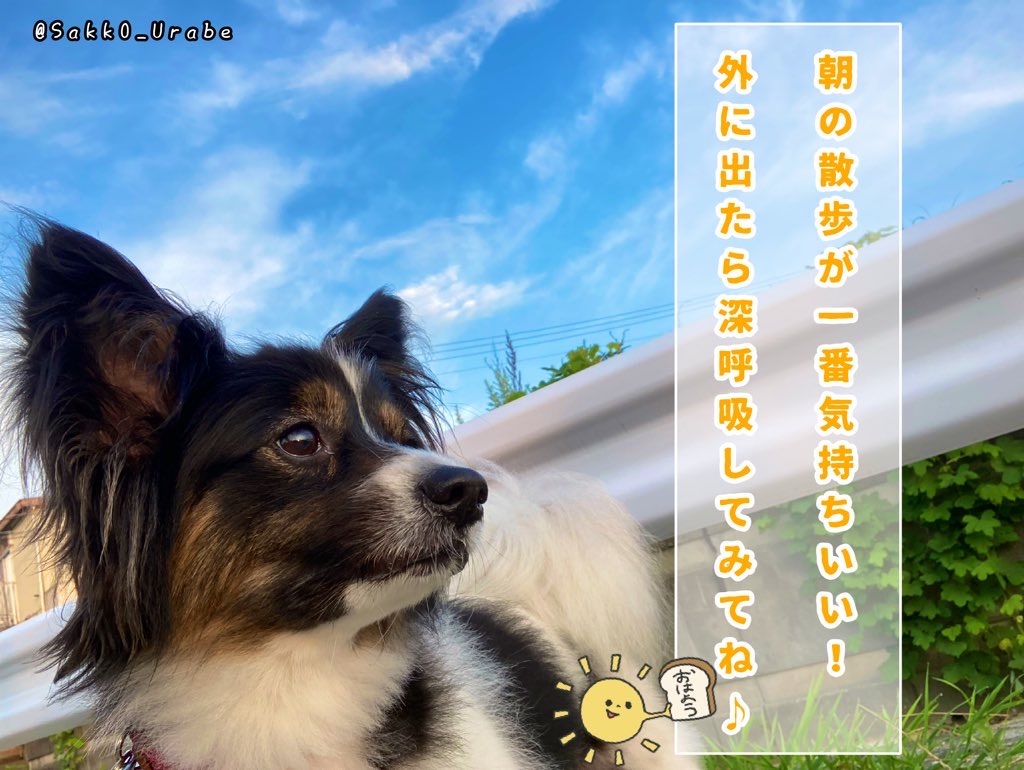 f:id:chasanx0424:20210727112330j:image
