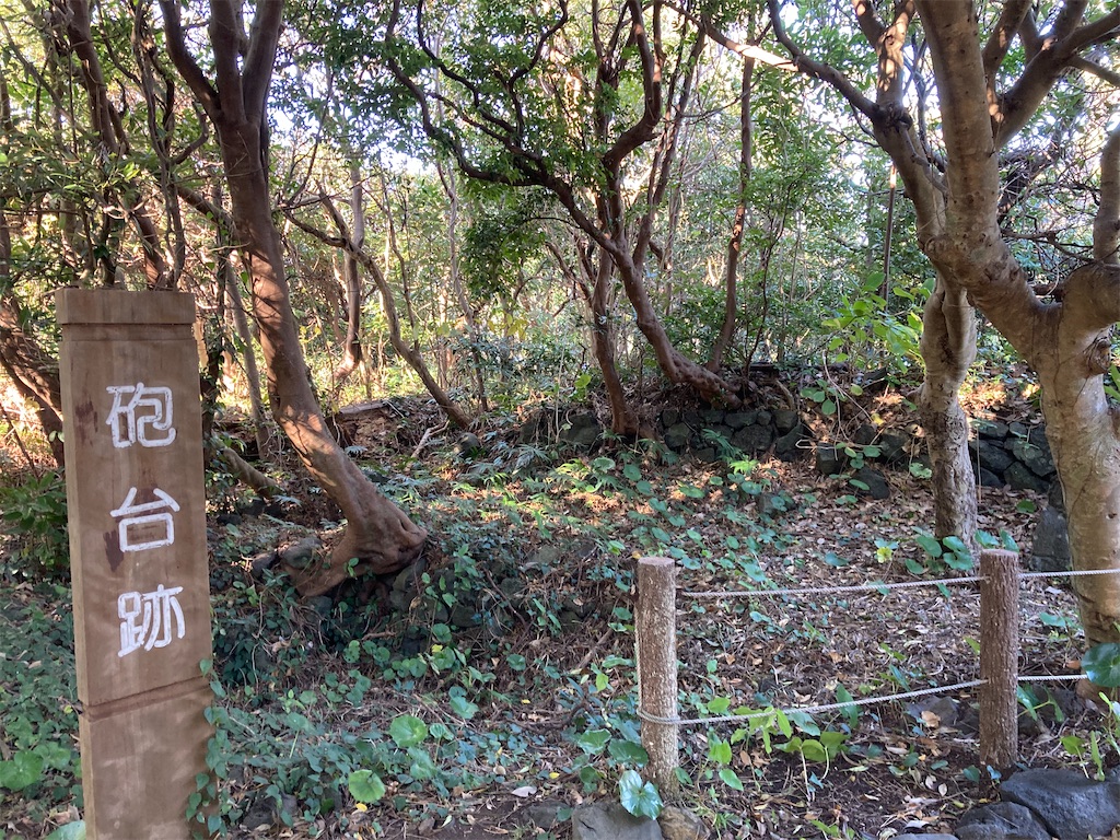 f:id:chashibutan:20220110225425j:image