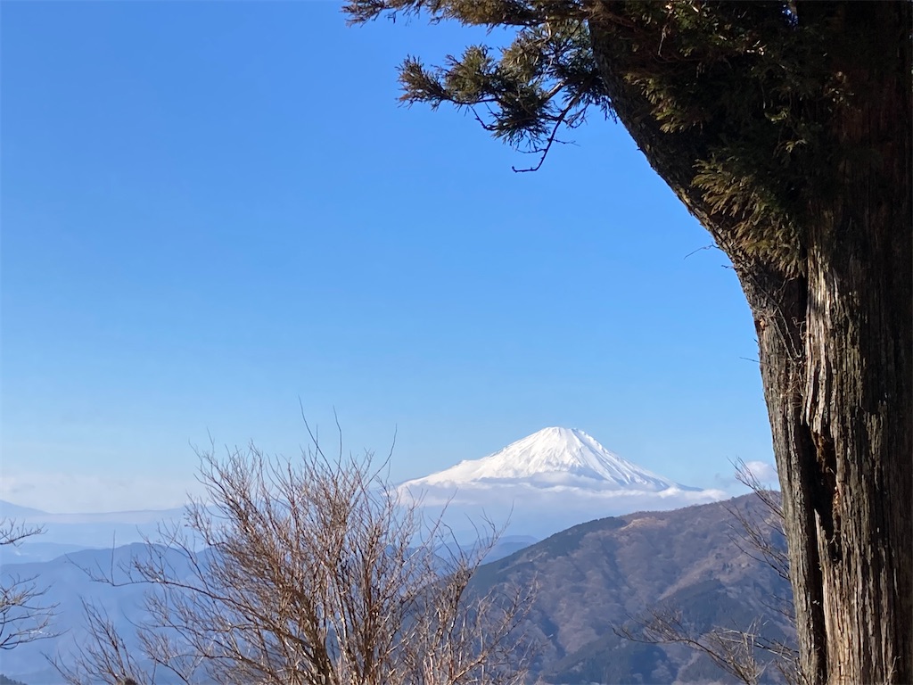 f:id:chashibutan:20220121075525j:image f:id:chashibutan:20220121075525j:image