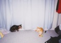 20120106140516