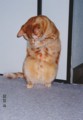 20120106144317