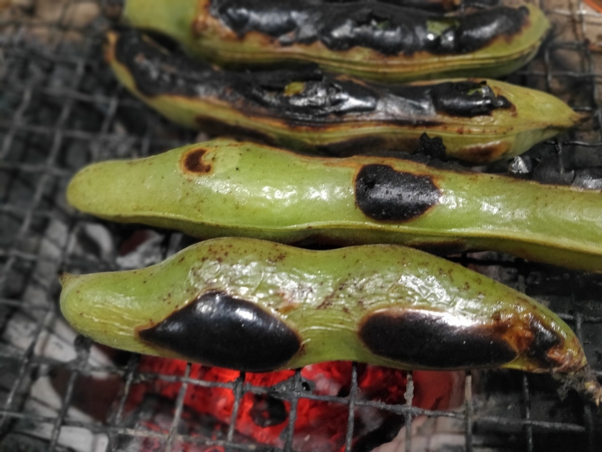 f:id:chatesen:20210524232404j:plain