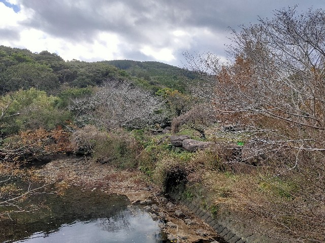 f:id:chatesen:20221231192918j:image f:id:chatesen:20221231192918j:image