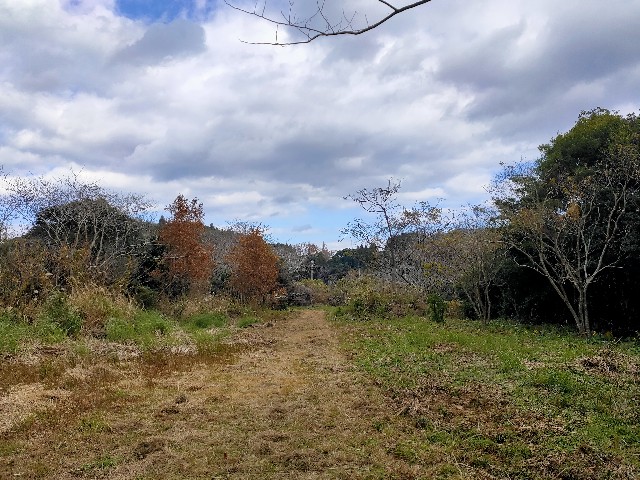 f:id:chatesen:20221231192935j:image f:id:chatesen:20221231192935j:image