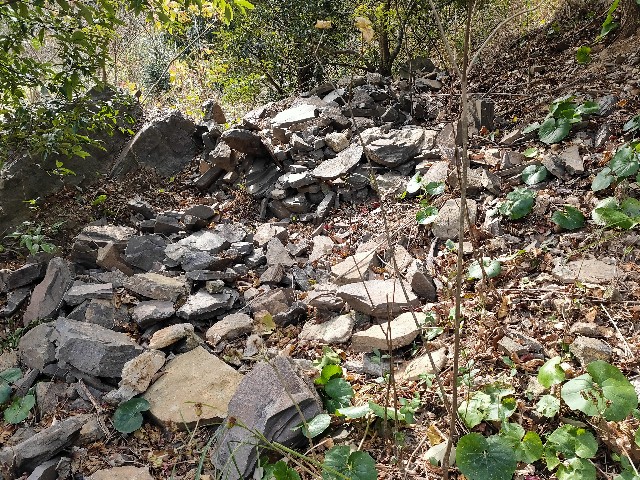 f:id:chatesen:20221231193031j:image f:id:chatesen:20221231193031j:image