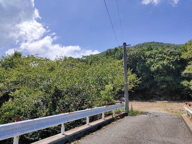 f:id:chatesen:20230829124949j:image f:id:chatesen:20230829124949j:image