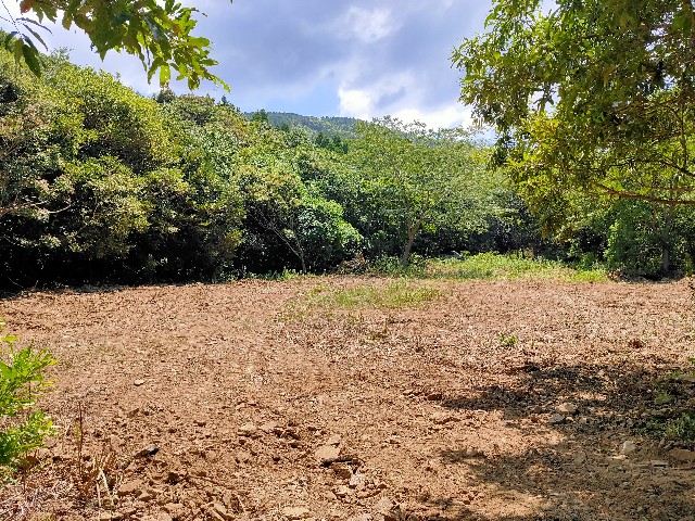 f:id:chatesen:20230829125021j:image f:id:chatesen:20230829125021j:image