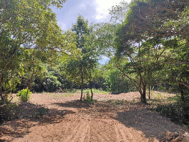 f:id:chatesen:20230829125130j:image f:id:chatesen:20230829125130j:image