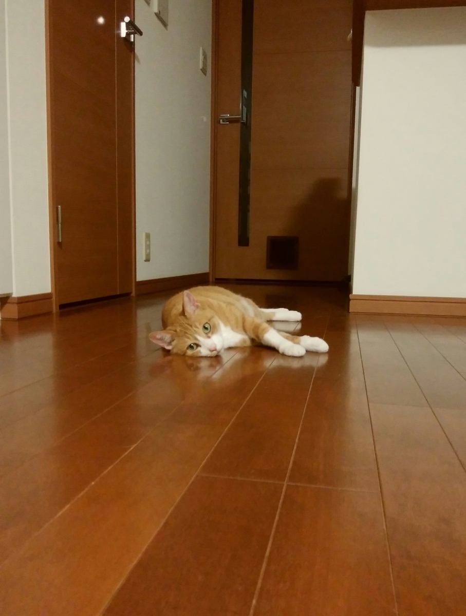 f:id:chatorajirushi:20190401165138j:plain f:id:chatorajirushi:20190401165138j:plain