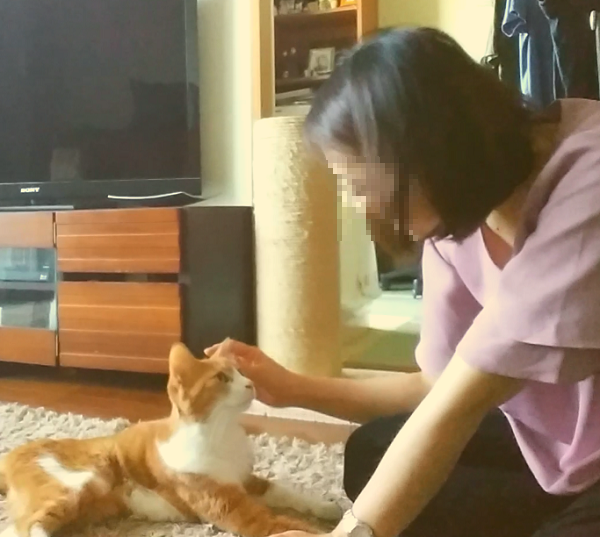 f:id:chatorajirushi:20190630181019p:plain f:id:chatorajirushi:20190630181019p:plain
