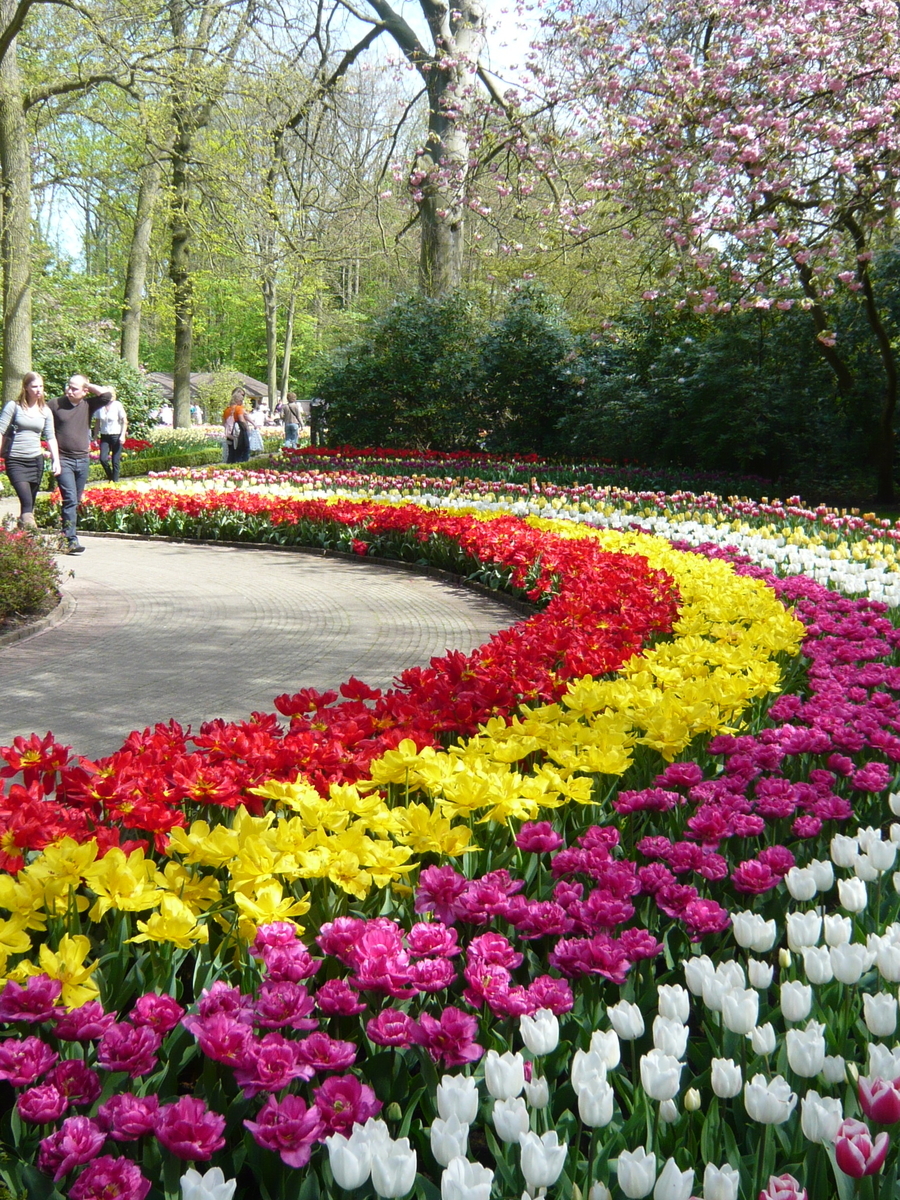 f:id:chatoran50:20120430142153j:plain