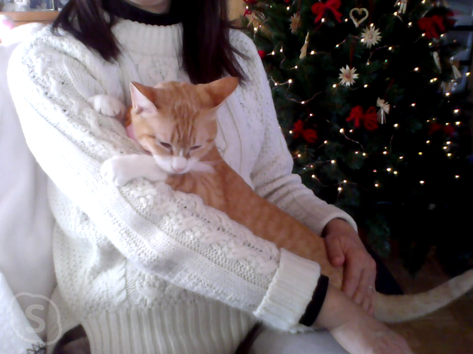 f:id:chatoran50:20220203141753j:plain