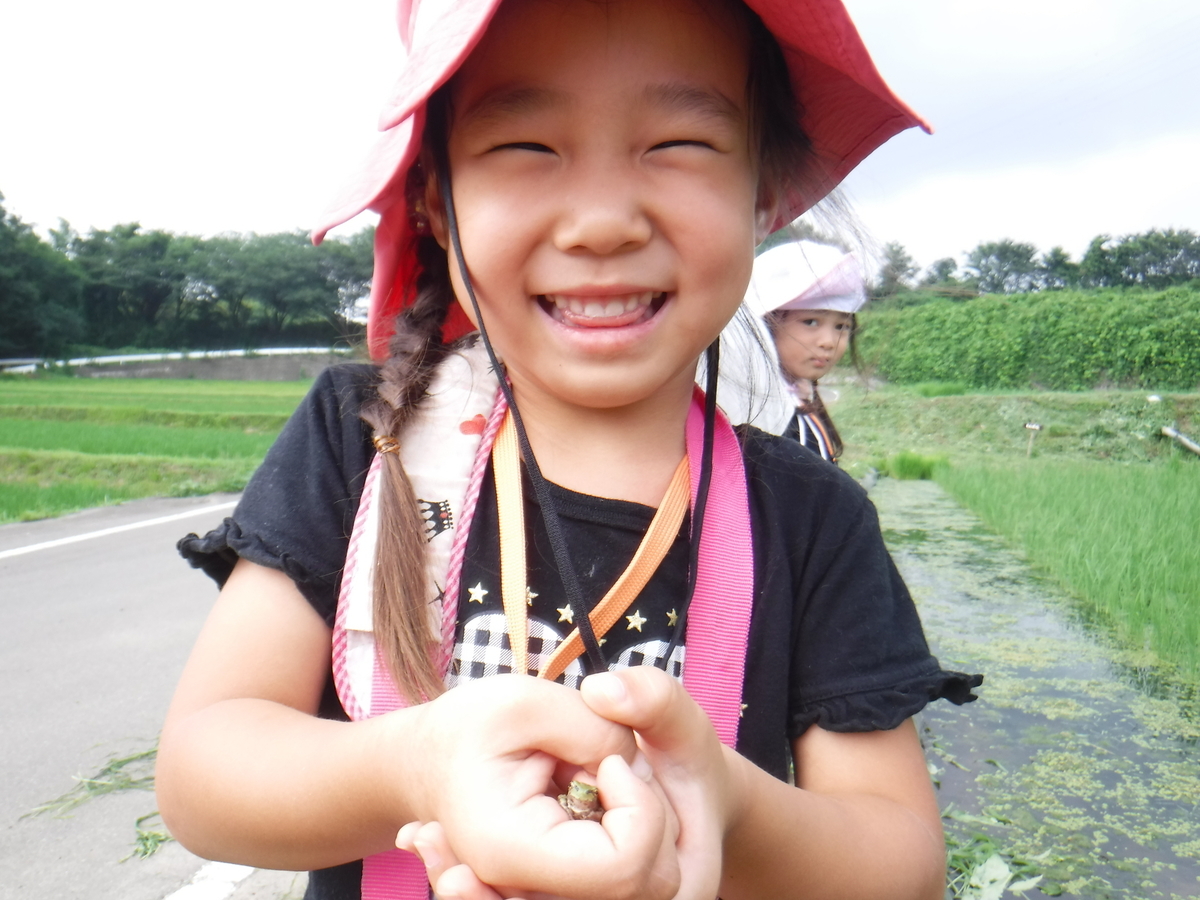 f:id:chaus:20190708225233j:plain