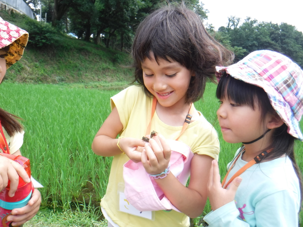 f:id:chaus:20190708225257j:plain