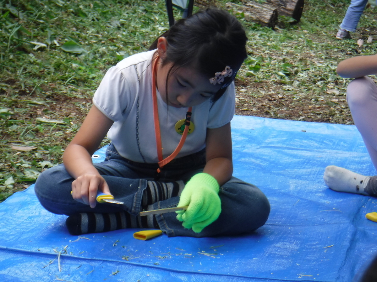 f:id:chaus:20190708225426j:plain