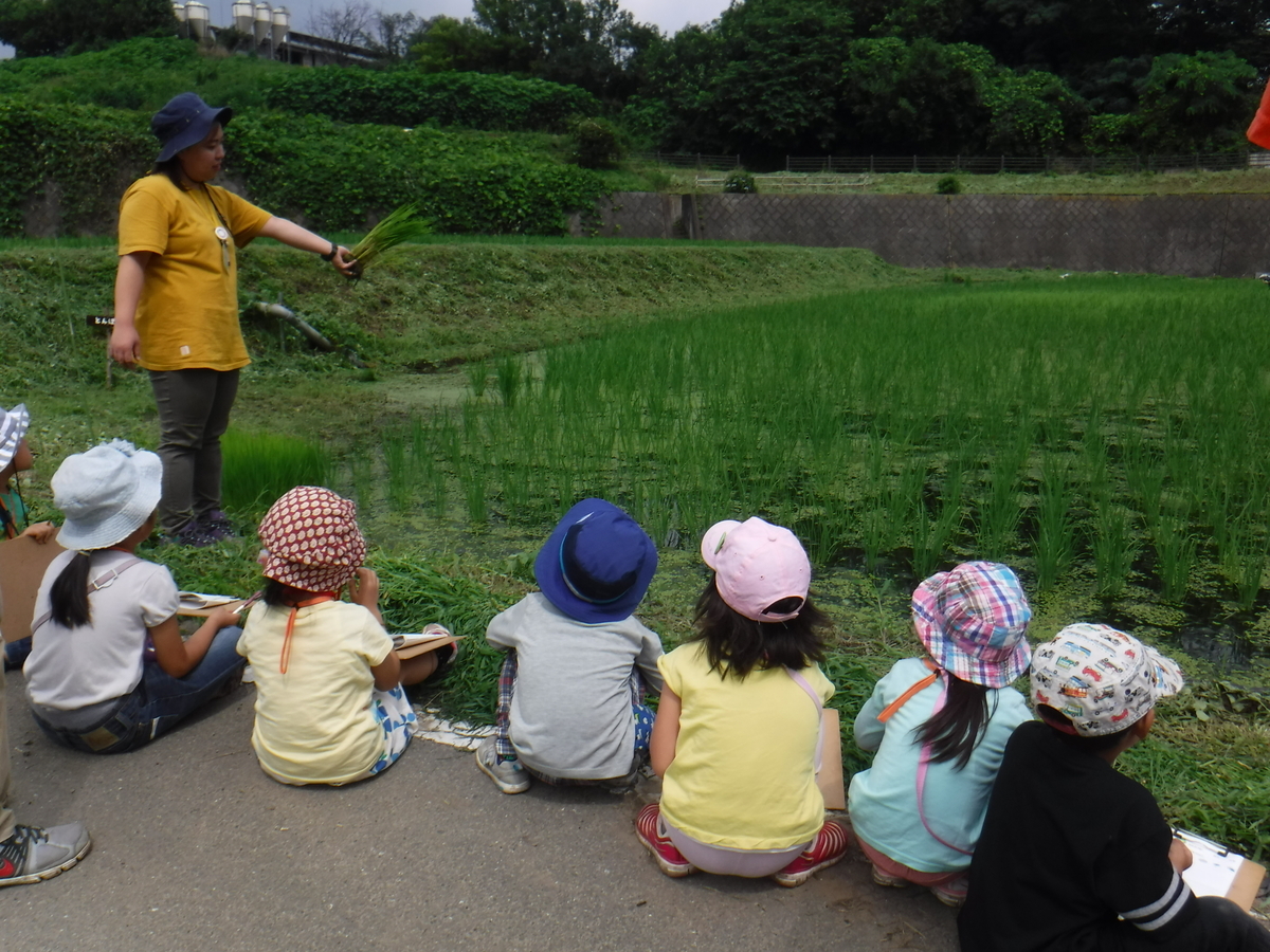 f:id:chaus:20190708225635j:plain