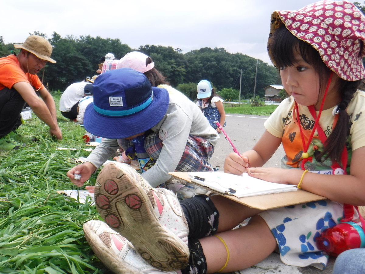 f:id:chaus:20190708225646j:plain