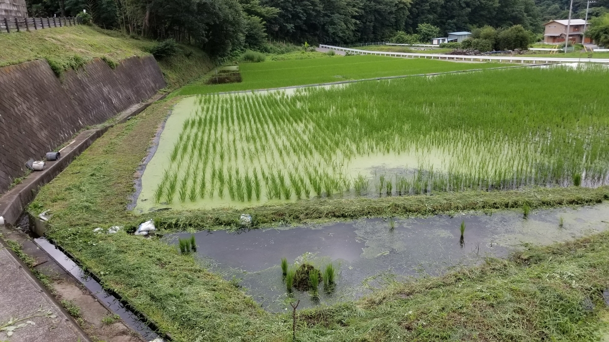 f:id:chaus:20190708234610j:plain