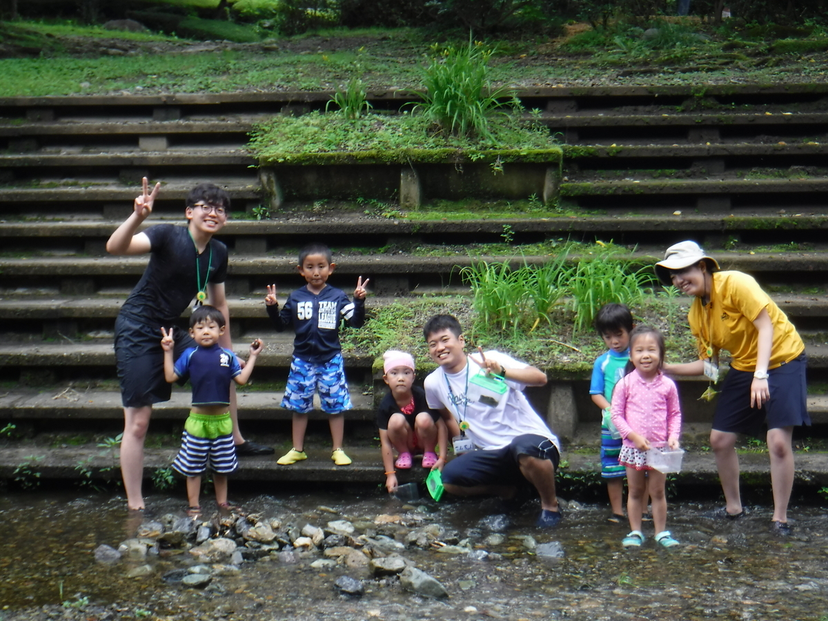 f:id:chaus:20190711000339j:plain