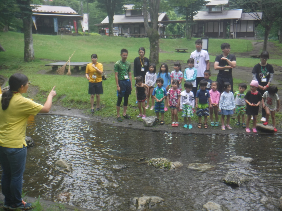 f:id:chaus:20190711000356j:plain