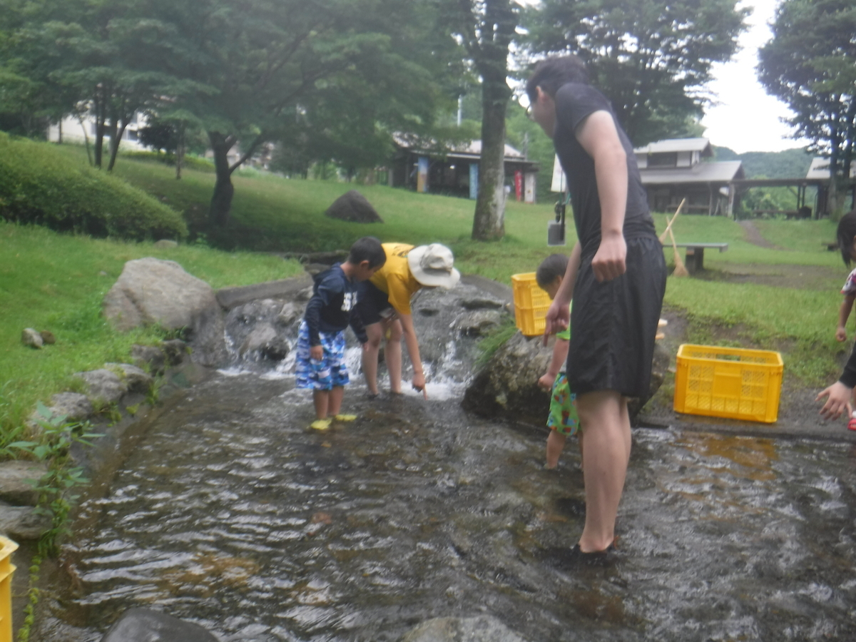 f:id:chaus:20190711000406j:plain