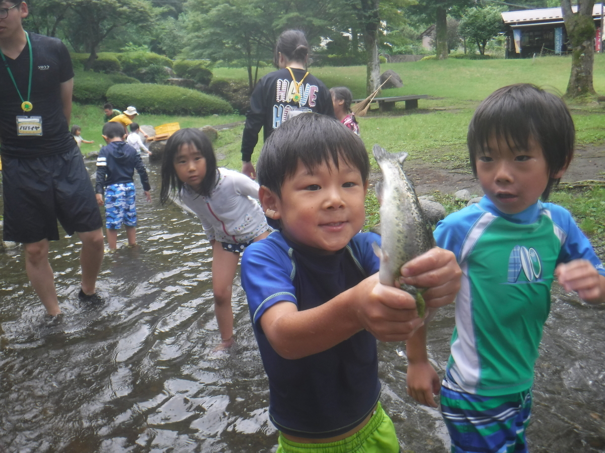 f:id:chaus:20190711000427j:plain