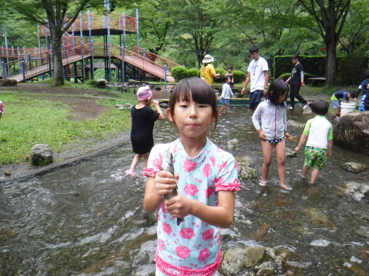 f:id:chaus:20190711000437j:plain