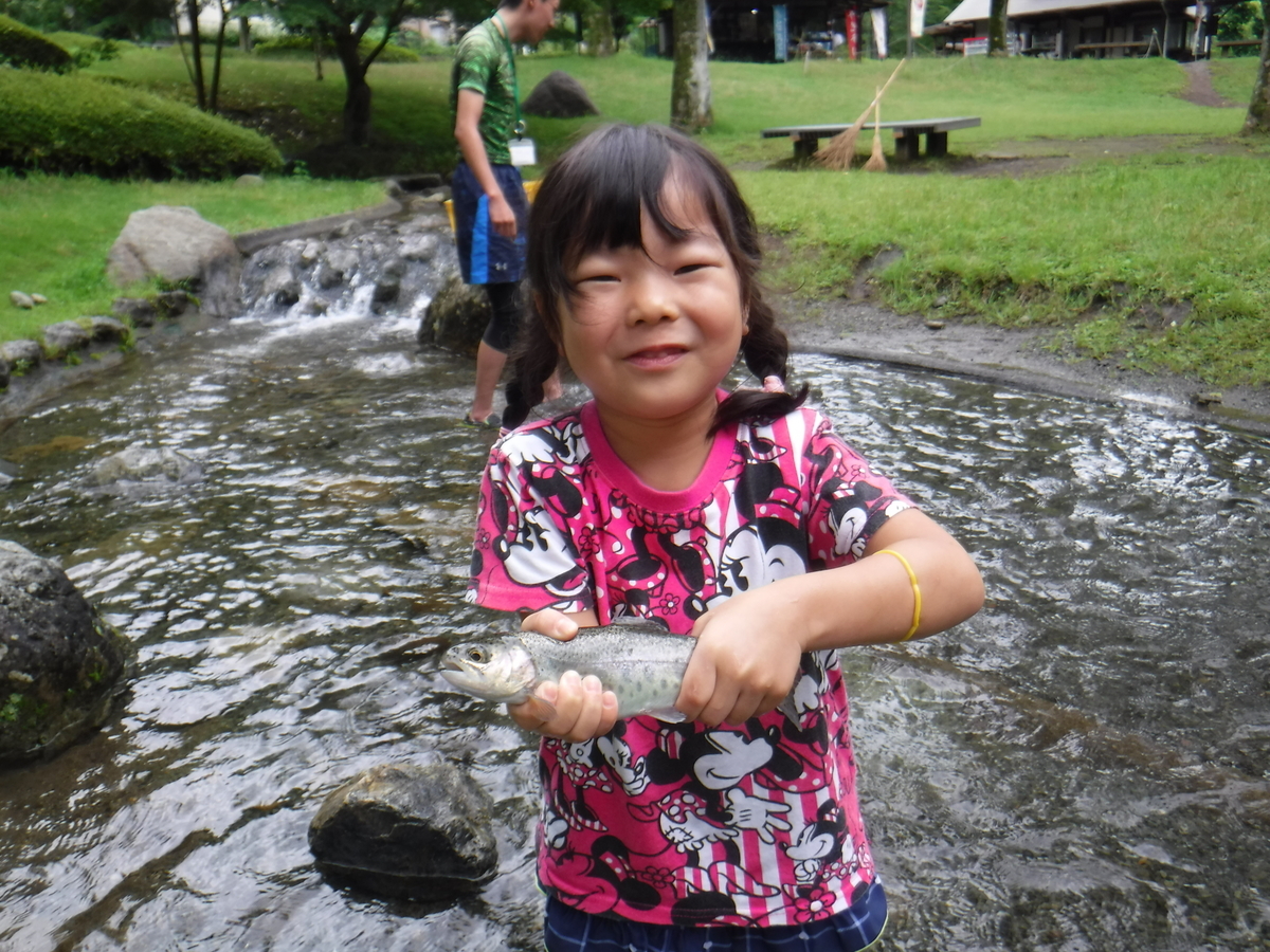 f:id:chaus:20190711000446j:plain