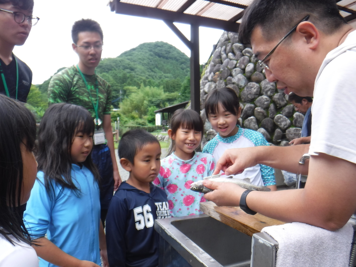 f:id:chaus:20190711000505j:plain