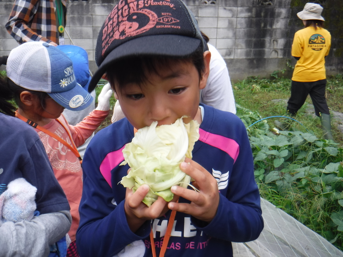 f:id:chaus:20190722103208j:plain f:id:chaus:20190722103208j:plain