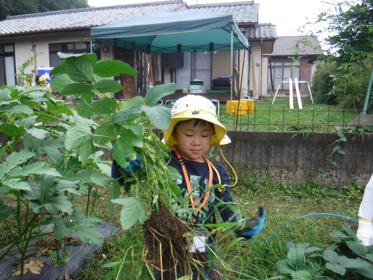 f:id:chaus:20190722103459j:plain f:id:chaus:20190722103459j:plain