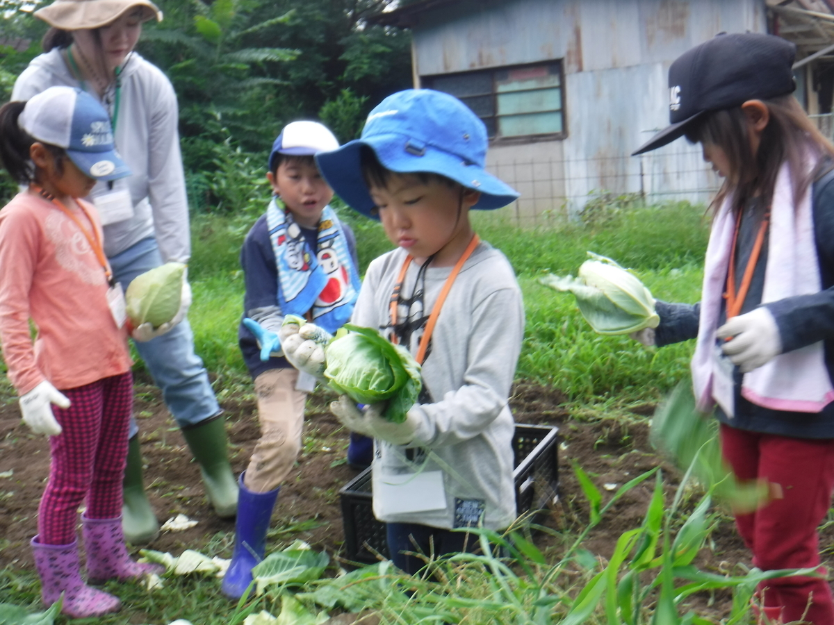 f:id:chaus:20190722103725j:plain f:id:chaus:20190722103725j:plain