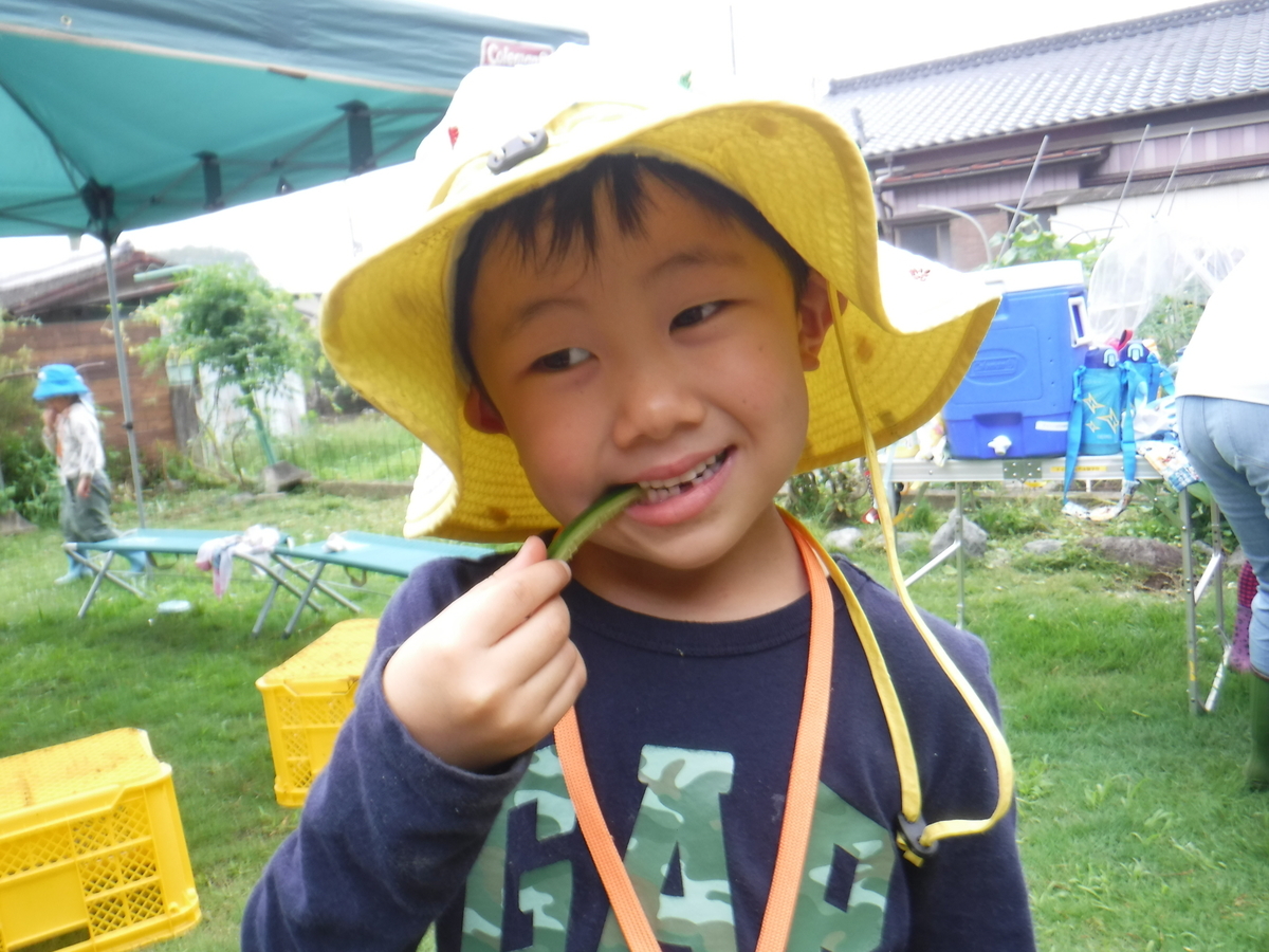 f:id:chaus:20190722103951j:plain f:id:chaus:20190722103951j:plain