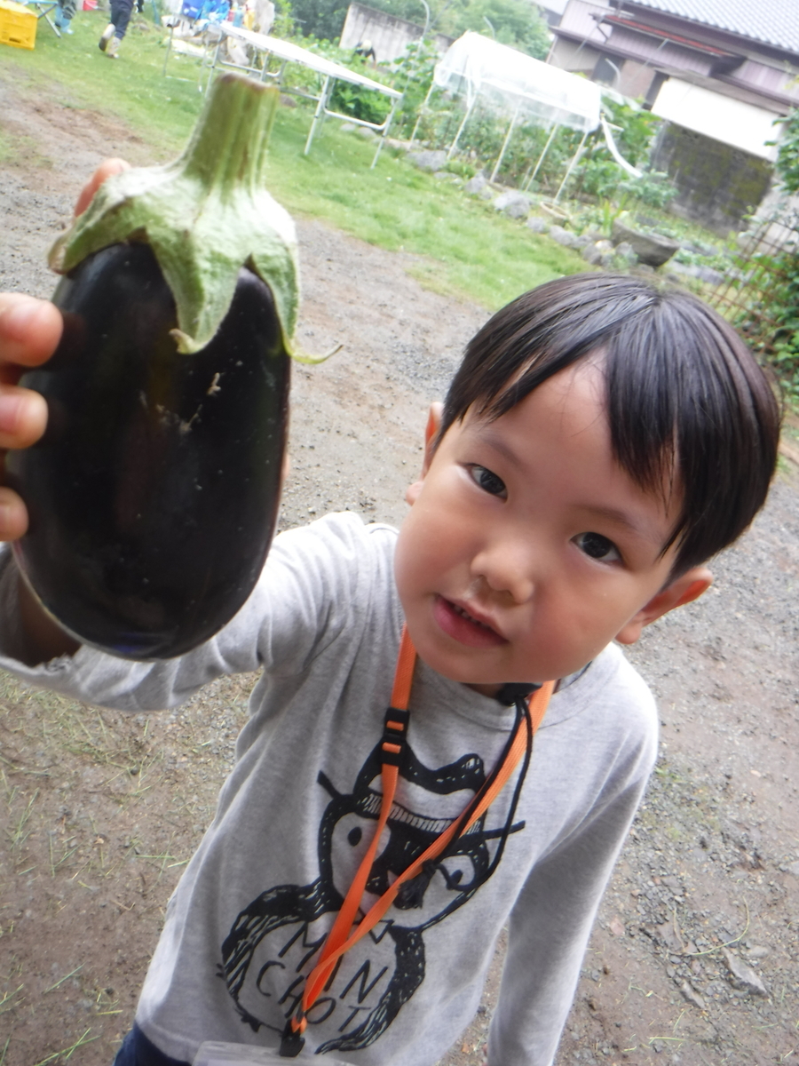 f:id:chaus:20190722104510j:plain f:id:chaus:20190722104510j:plain