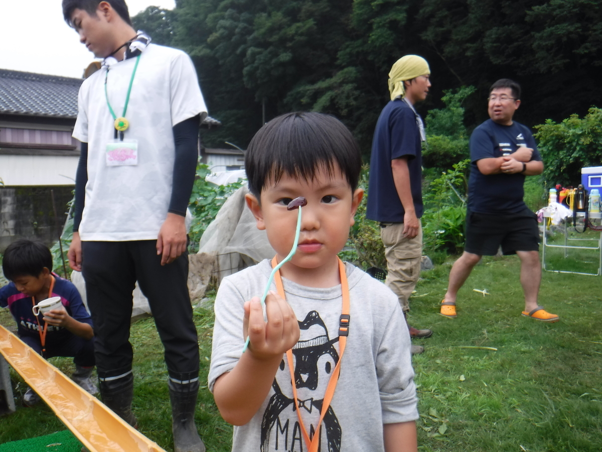 f:id:chaus:20190722105340j:plain f:id:chaus:20190722105340j:plain