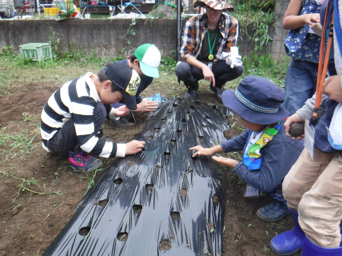 f:id:chaus:20190722105759j:plain f:id:chaus:20190722105759j:plain