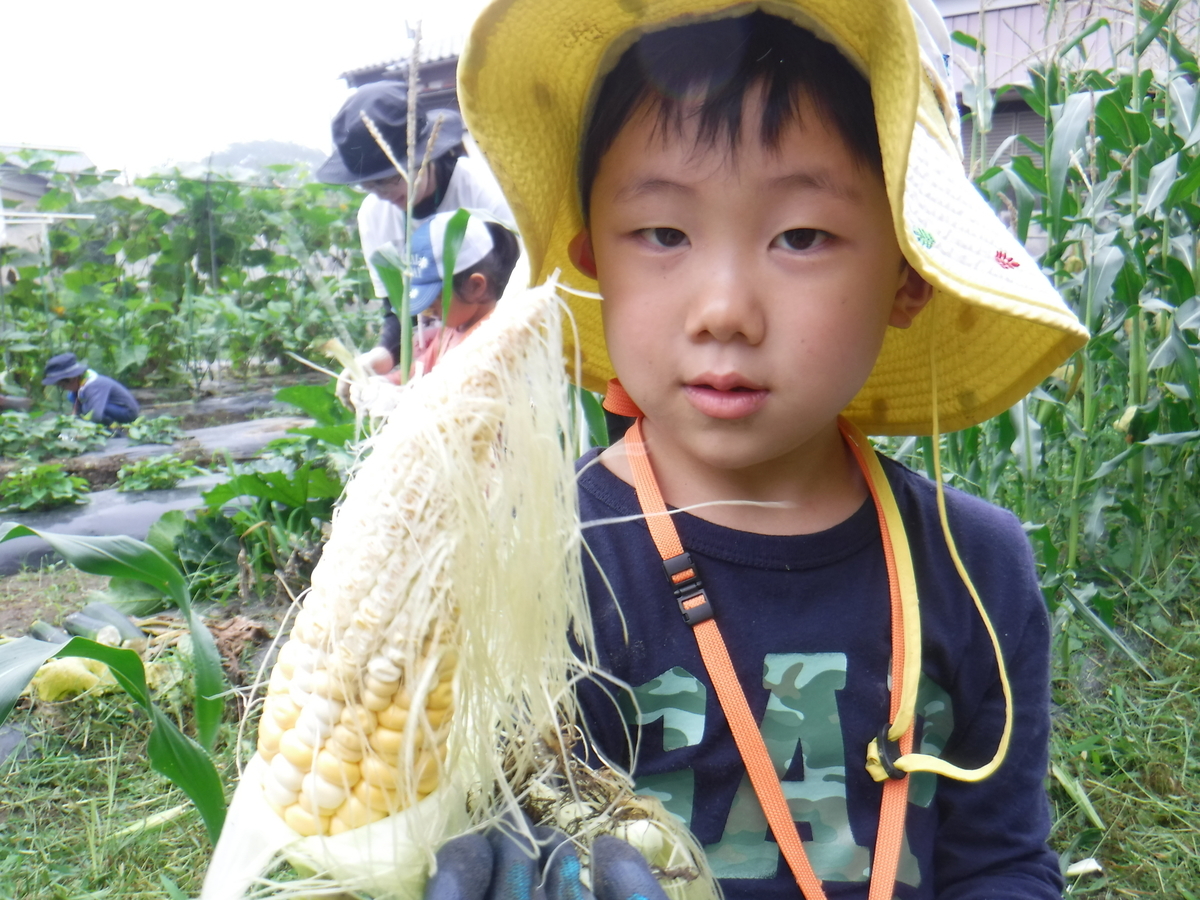 f:id:chaus:20190722151544j:plain f:id:chaus:20190722151544j:plain