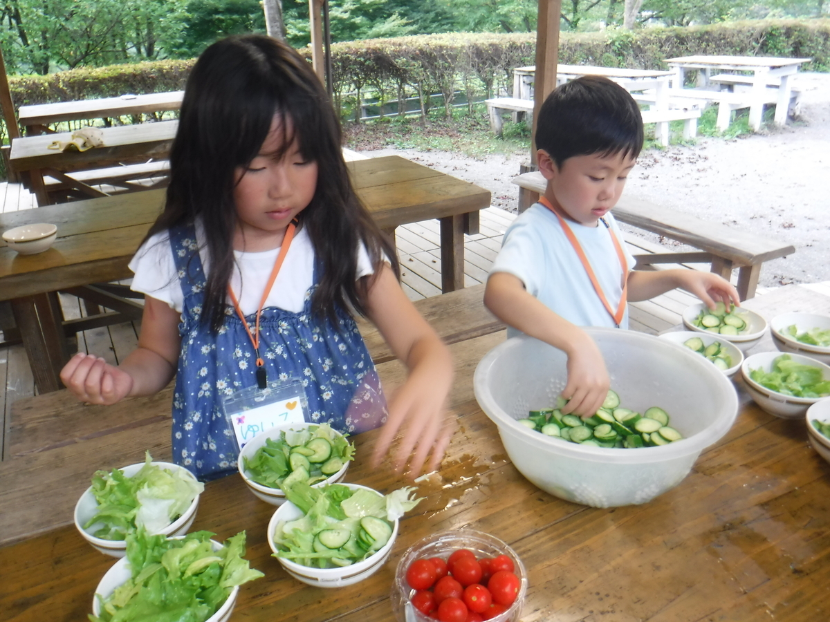 f:id:chaus:20190801141100j:plain