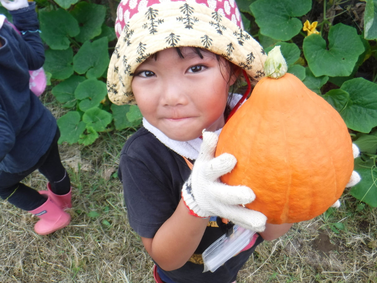 f:id:chaus:20190908002350j:plain
