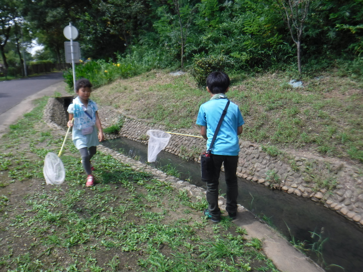 f:id:chaus:20190908015625j:plain f:id:chaus:20190908015625j:plain