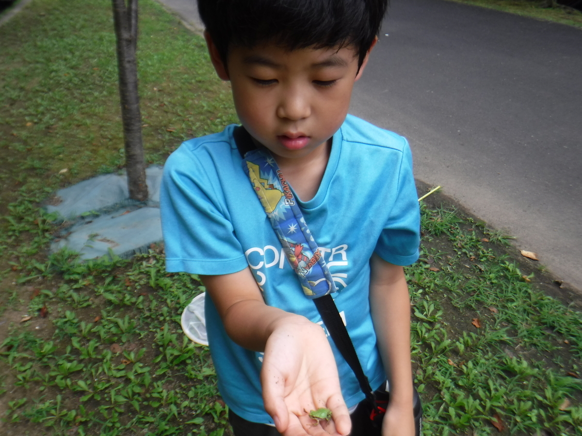 f:id:chaus:20190908015641j:plain f:id:chaus:20190908015641j:plain