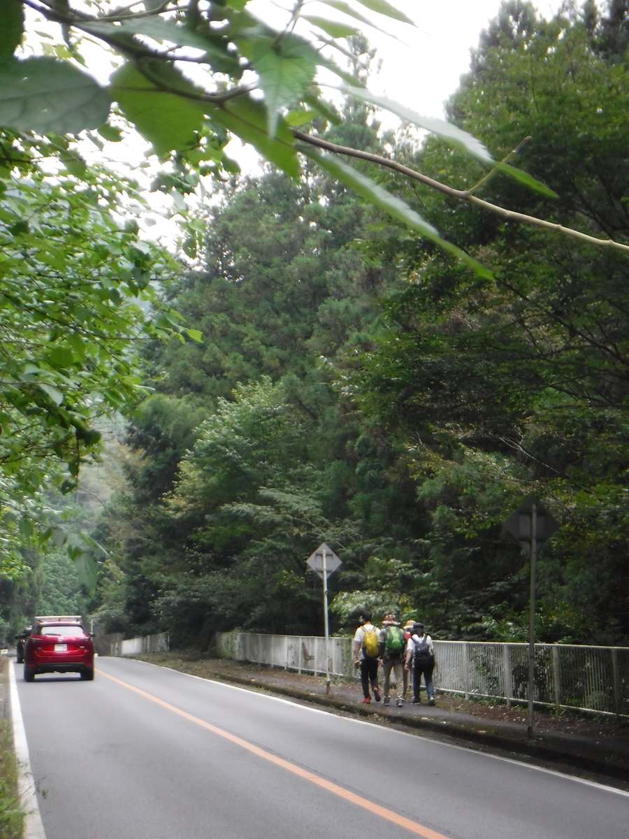 f:id:chaus:20191011130103j:plain