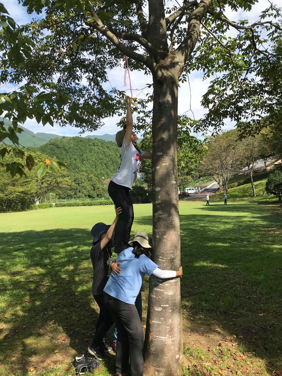 f:id:chaus:20191011163248j:plain