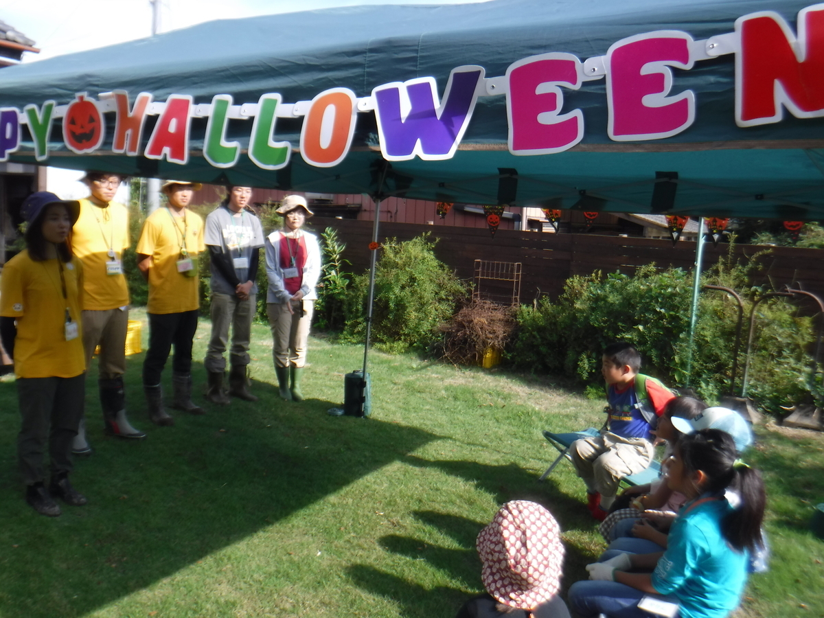 f:id:chaus:20191022114554j:plain f:id:chaus:20191022114554j:plain